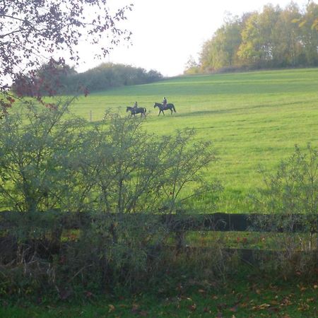Natur Pur Mit Fernblick Fuer Wanderfreunde บัดซัคซา ภายนอก รูปภาพ